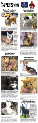 Pets of the Week May 23-24, 2026